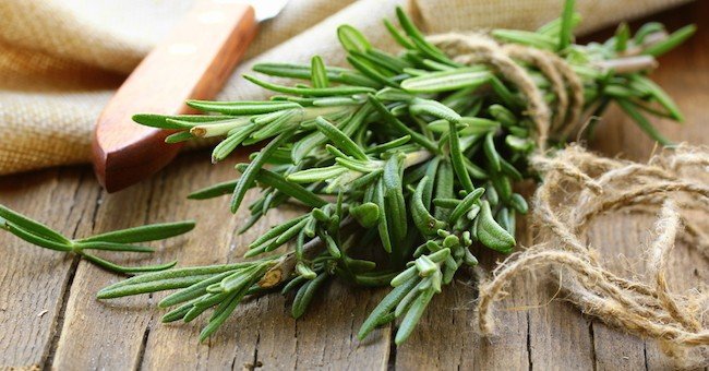 Rosmarino sul terrazzo,
talee con rosmarino,
come curare il rosmarino, piante aromatiche