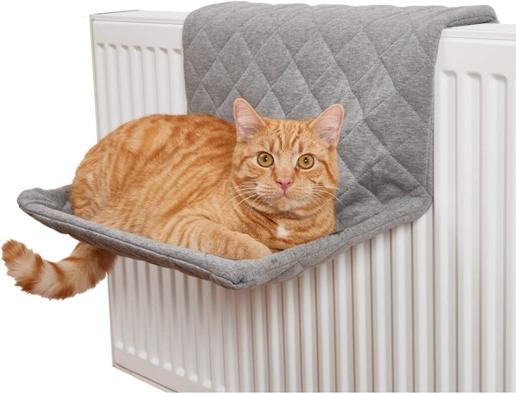 regali originali, regalo natale gatto